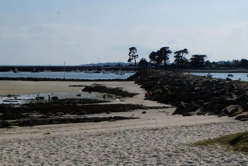 Port La Foret T2 Avec Jardin 300M De La Plage 아파트